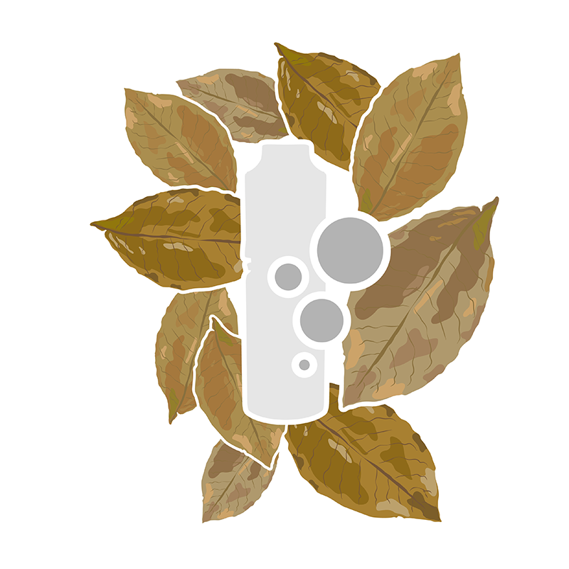 mC Aroma Tabak Middle East