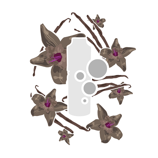 MC Aroma Black Vanilla